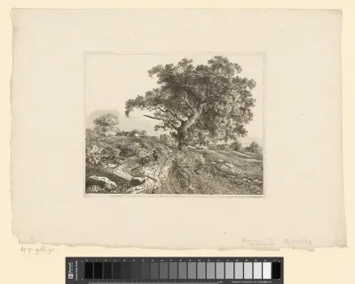 Landschap met man en een koe