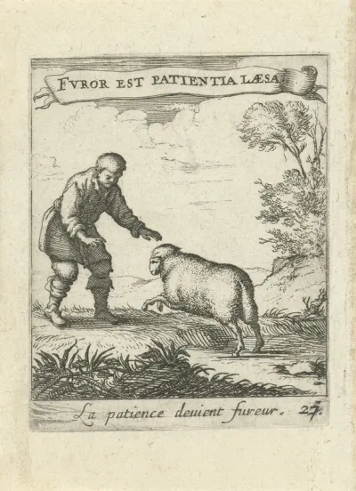 Landschap met man en schaap
