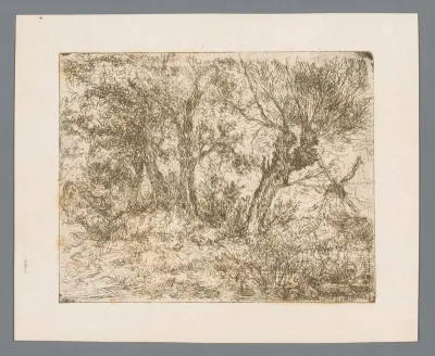 Landschap met molen