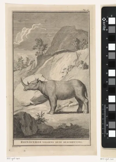 Landschap met neushoorn