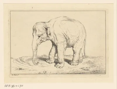 Landschap met olifant