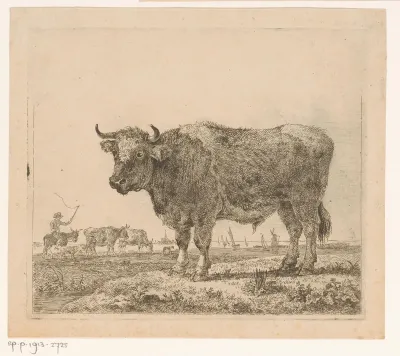 Landschap met os