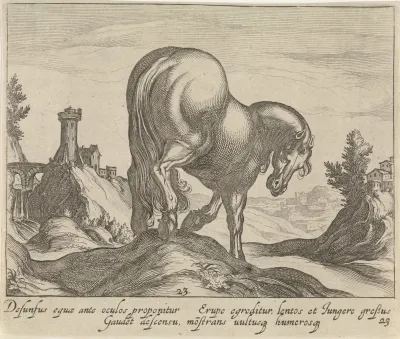 Landschap met paard