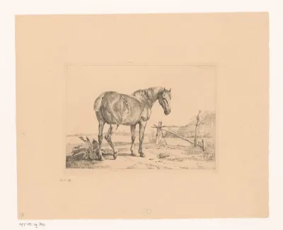 Landschap met paard bij een hek
