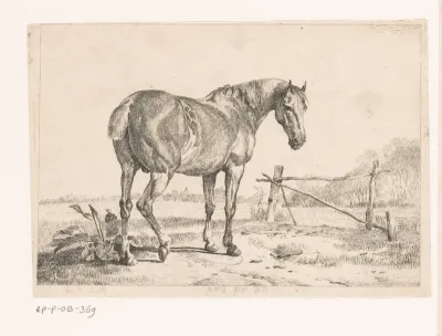 Landschap met paard bij een hek