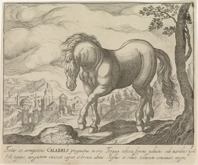 Landschap met paard uit Calabrië
