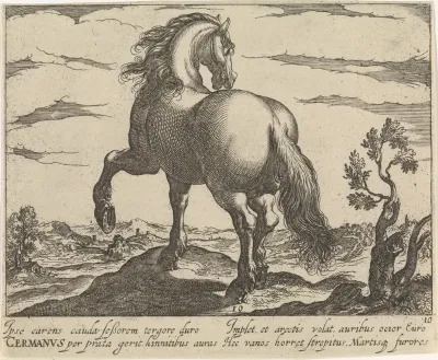 Landschap met paard uit Duitsland