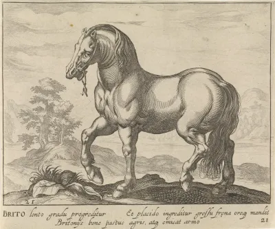 Landschap met paard uit Engeland (Brito)