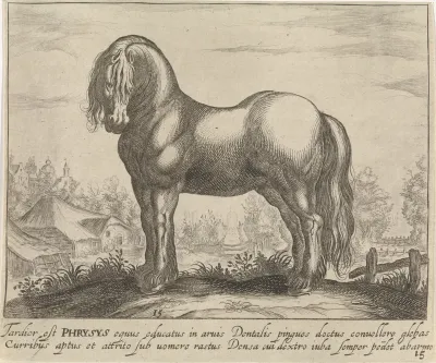 Landschap met paard uit Friesland