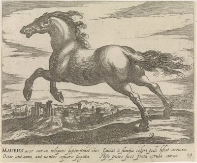 Landschap met paard uit Mauretanië