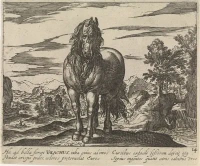 Landschap met paard uit Roemenië (Valachus)