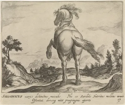 Landschap met paard uit Sardinië, steigerend