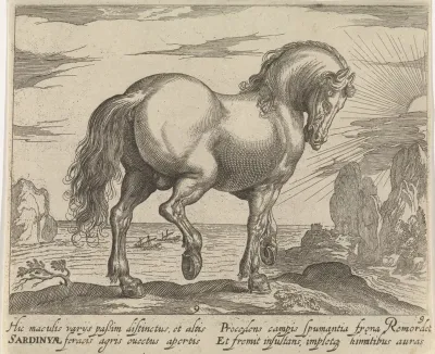 Landschap met paard uit Sardinië