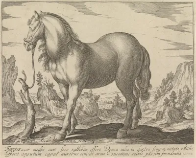 Landschap met paard uit Toscane