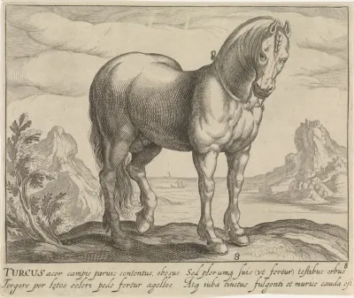 Landschap met paard uit Turkije