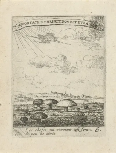 Landschap met paddenstoelen