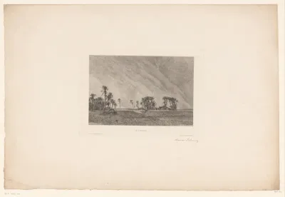 Landschap met palmbomen