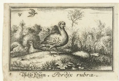 Landschap met patrijzen