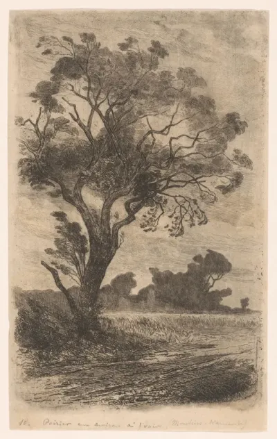 Landschap met perenboom