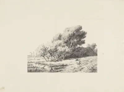 Landschap met plaggenhut