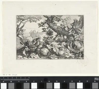 Landschap met pompoenen en kolen