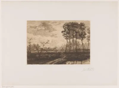 Landschap met rij berken