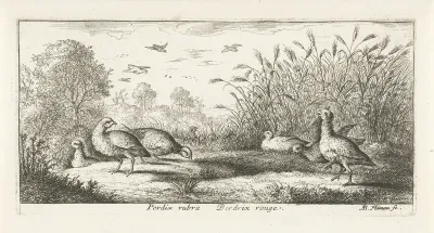 Landschap met rode patrijzen