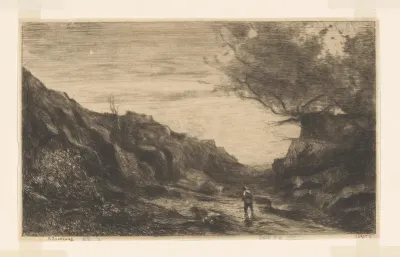 Landschap met rotsen, boom en wandelaar