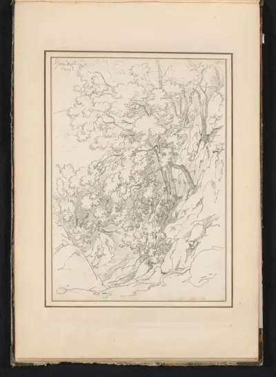 Landschap met rotsen en bomen te Roccantica