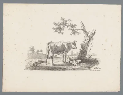 Landschap met rund