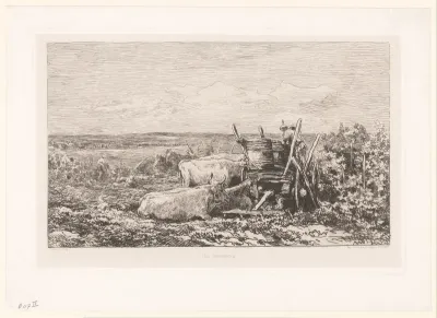 Landschap met rustend vee tussen wijnranken