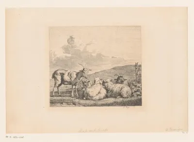 Landschap met rustende schapen en geiten