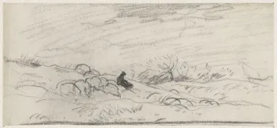 Landschap met schapen