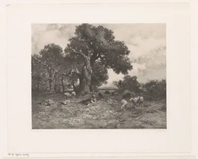 Landschap met schapen
