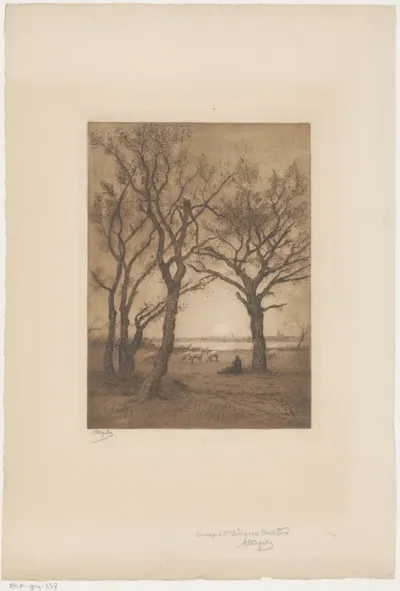 Landschap met schapen bij zonsondergang