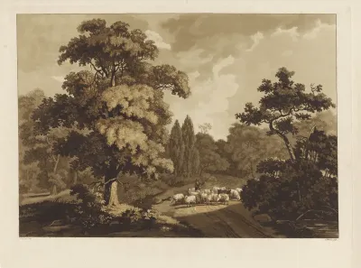 Landschap met schapenherder