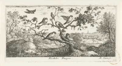 Landschap met snippen