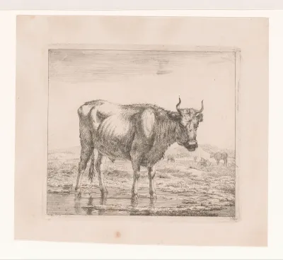 Landschap met stier