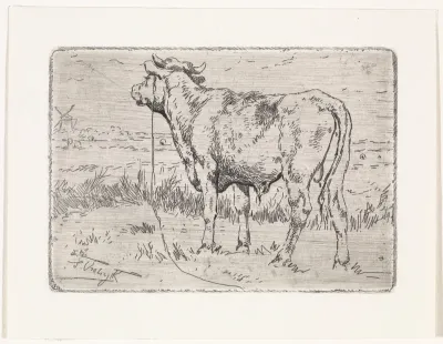 Landschap met stier, aan een touw