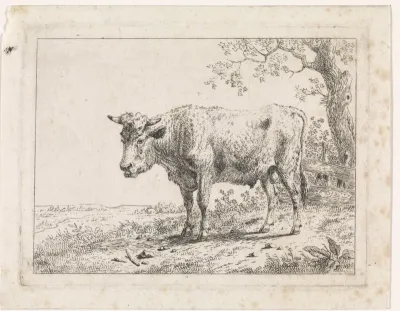 Landschap met stier