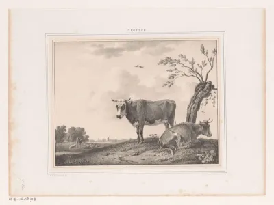 Landschap met stieren