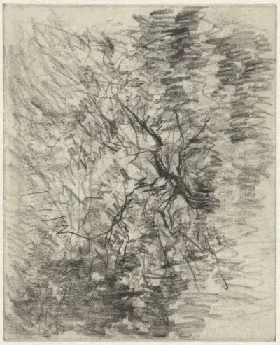 Landschap met struik