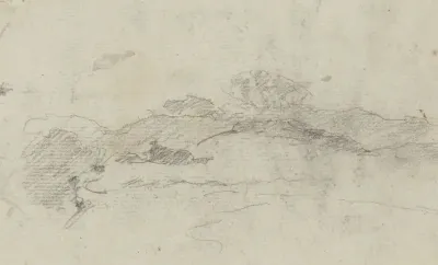 Landschap met struiken