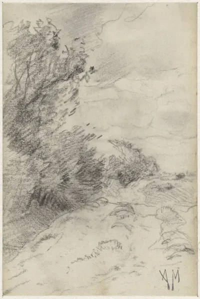 Landschap met struiken