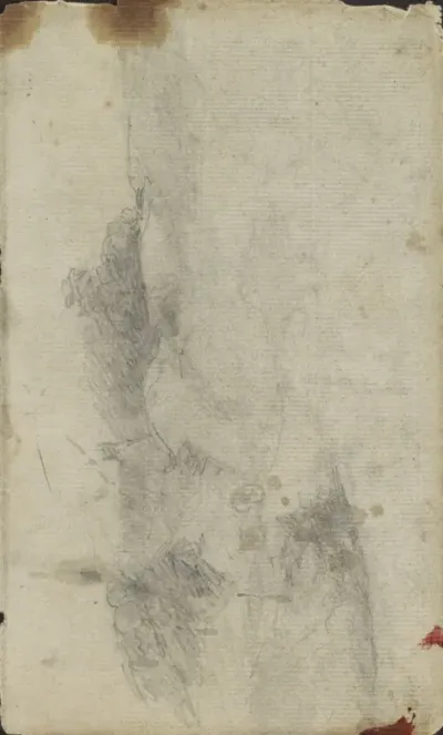 Landschap met struikgewas