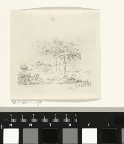 Landschap met twee bomen