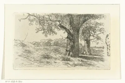 Landschap met twee bomen op grasland