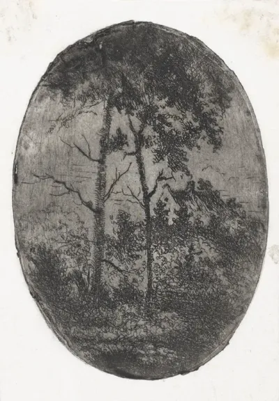 Landschap met twee hoge bomen