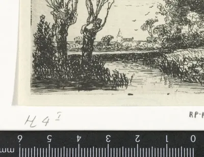 Landschap met twee knotwilgen