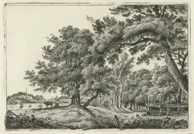 Landschap met twee koeien in de schaduw